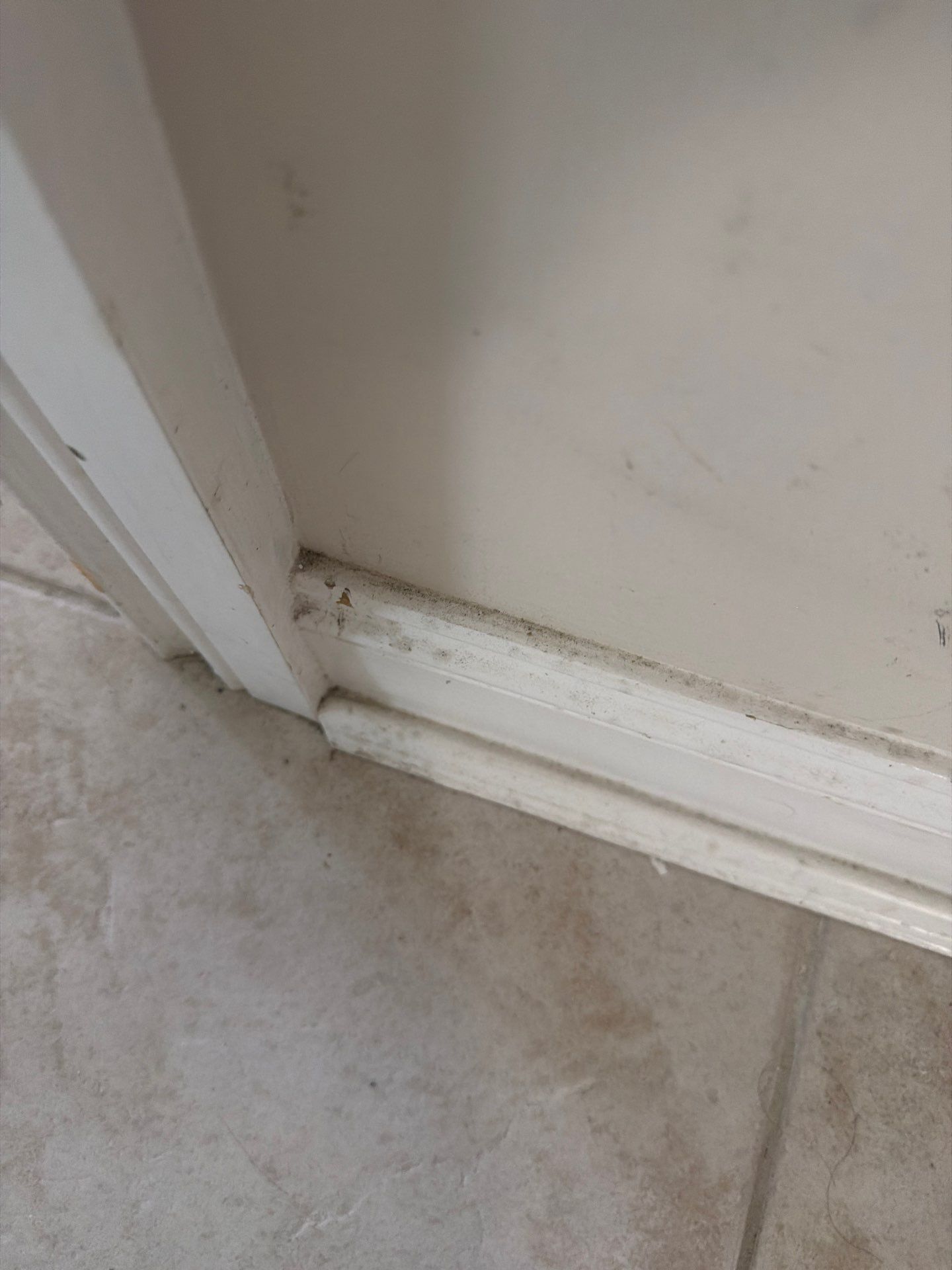 Residential Mold Remediation and Interior Moisture Damage Assessment in Palm Beach by SuperClean