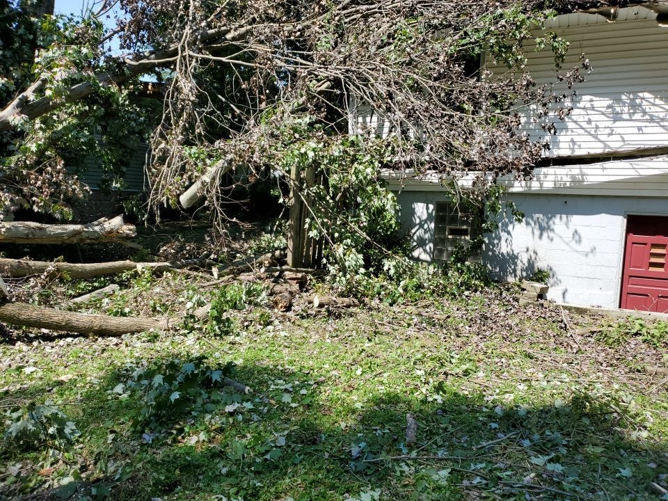 Storm Damaged Tree Removal  by Mike Jones & Sons Tree Service LLC 
