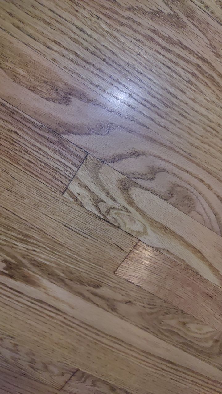 Water Damage by Accountable Home Services