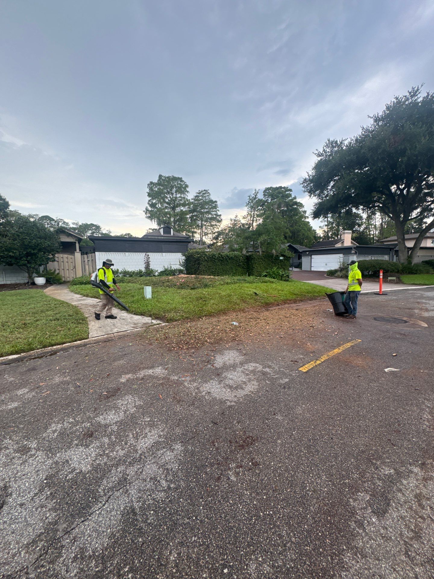 Deerwood Resident | Tree Removal by ProGreen Services