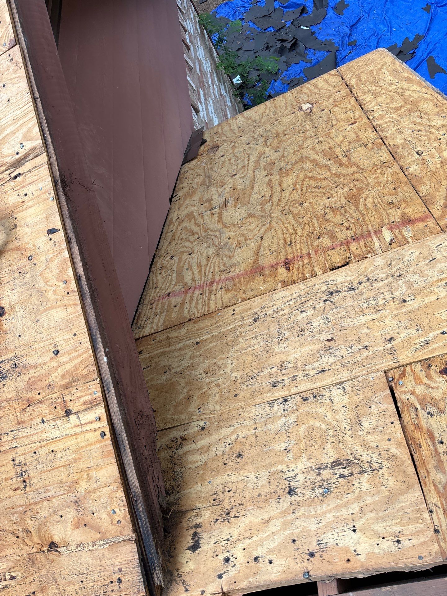 Roof Replacement Spring by Roof Repair Company