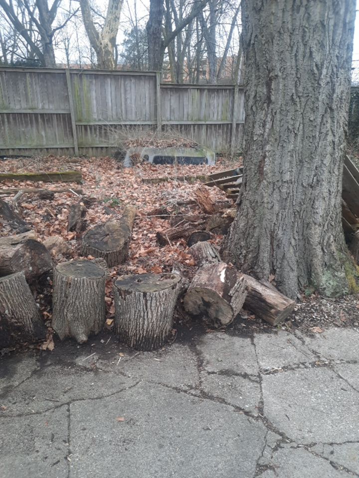 Firewood Delivery  using Seasoned Firewood by Mike Jones & Sons Tree Service LLC 