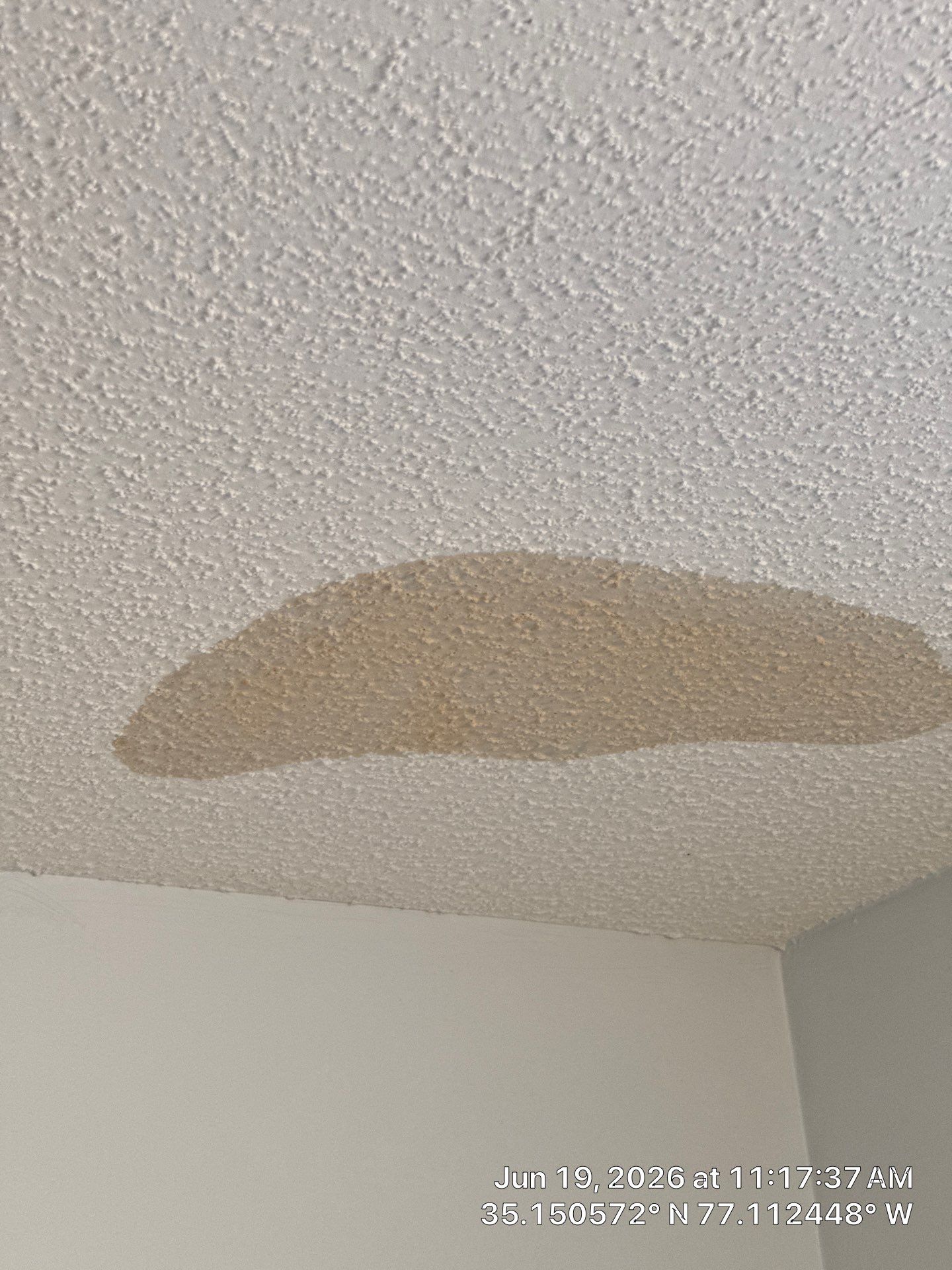 New Bern Roof Replacement Following Storm and Tree Damage by North Carolina Roofs
