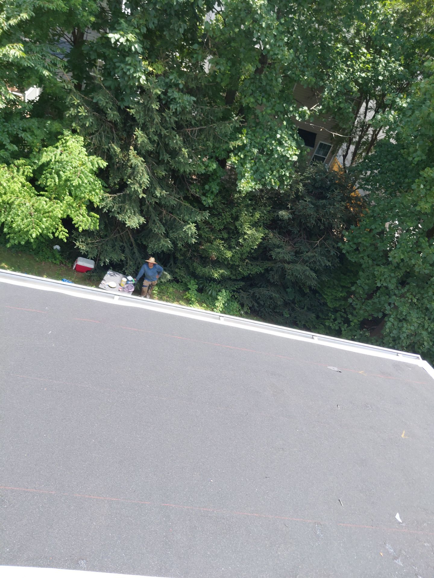 Lorton: Residential Roof Replacement with CertainTeed Landmark in Colonial Slate by RM Banning, Inc.