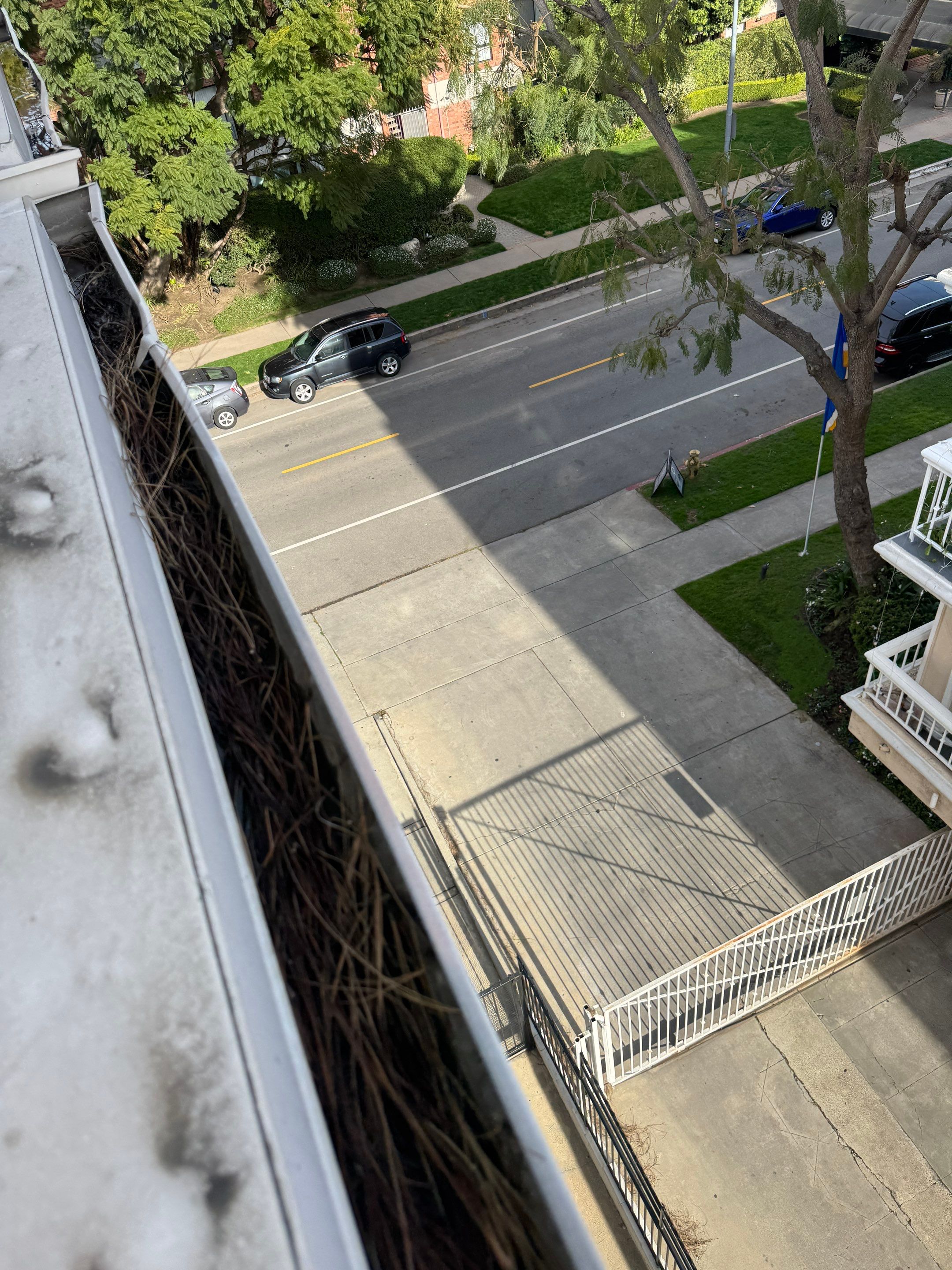 HOA gutter cleaning before photo