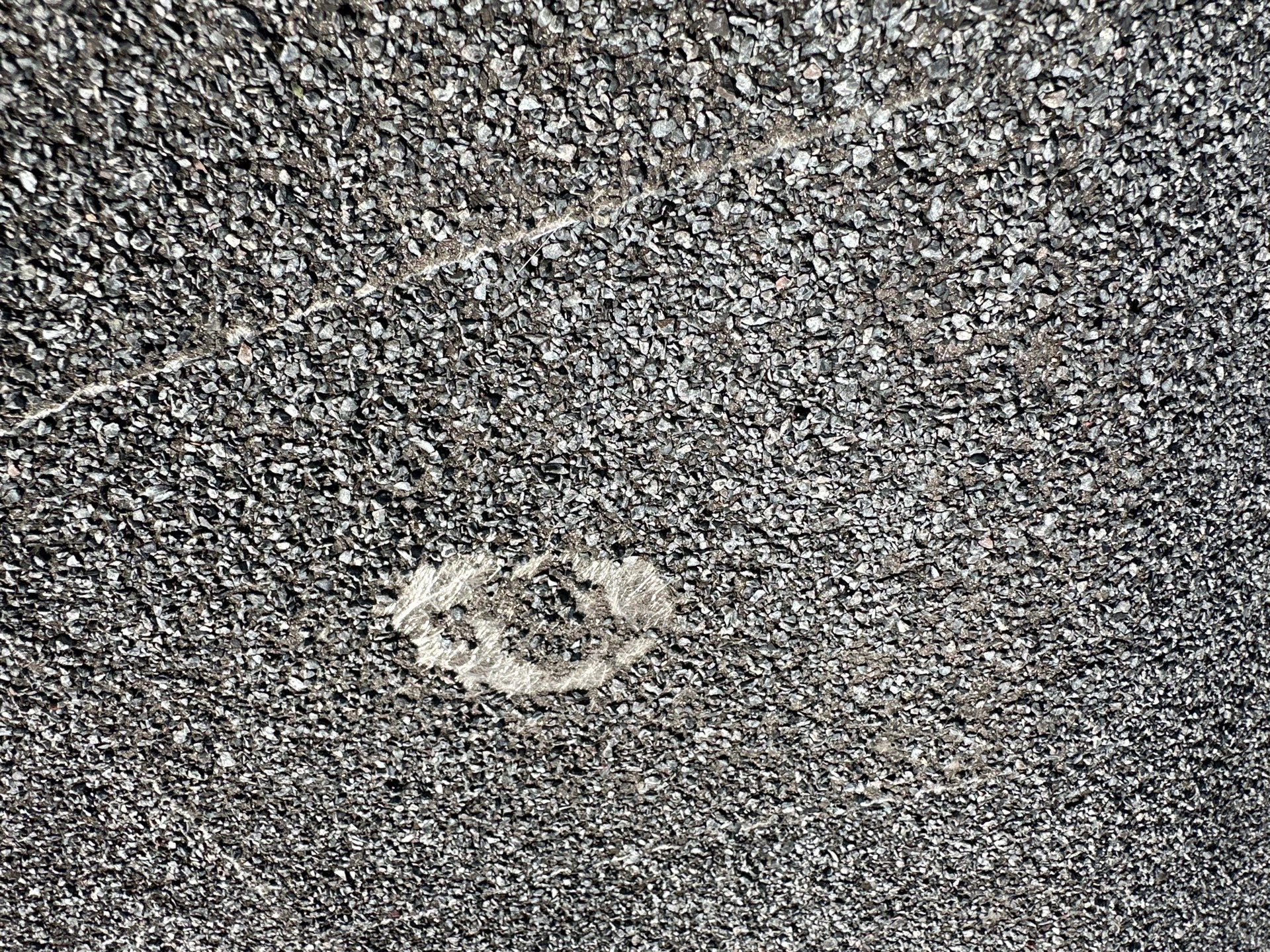 Exposed Fastener Metal Roof Replacement – Columbia City, Indiana by 4Ever Metal Roofing