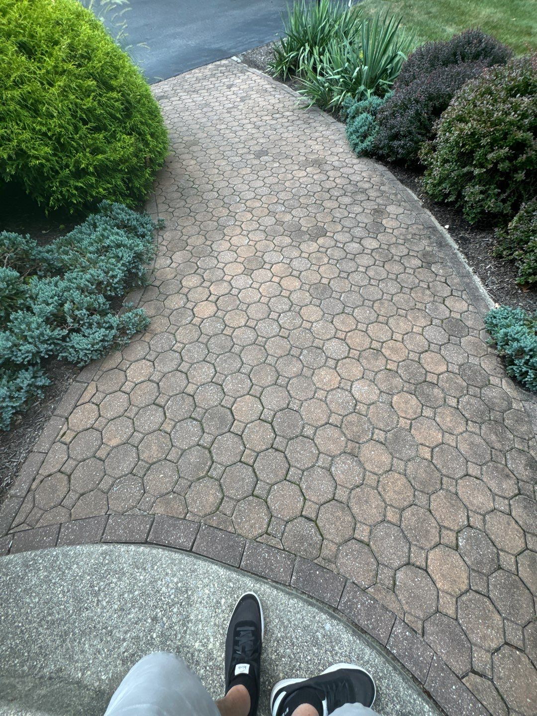 Multi Service  by SJ Exterior