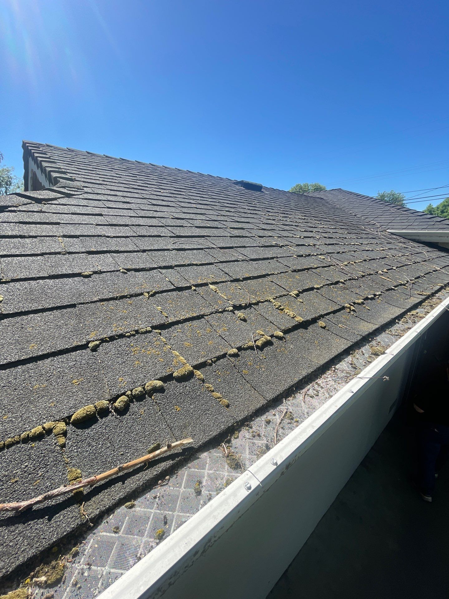 Roof Rejuvenation using Roof Maxx Treatment by Roof Maxx of Folsom
