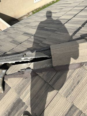 Concrete Tile Roof Repair and Gutter Maintenance in Orlando