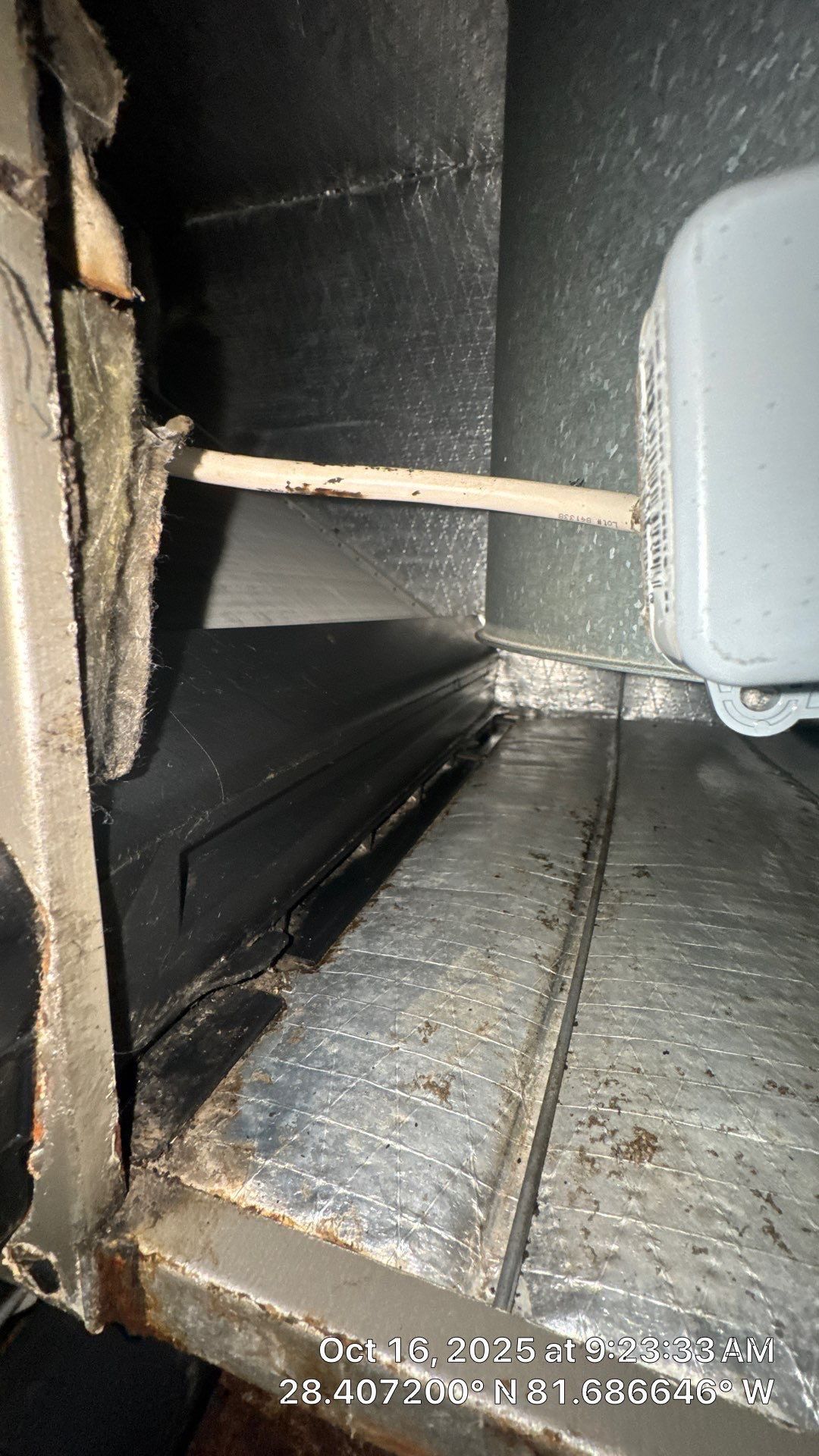 Air Duct Cleaning in Clermont by Hygienic Air, Inc