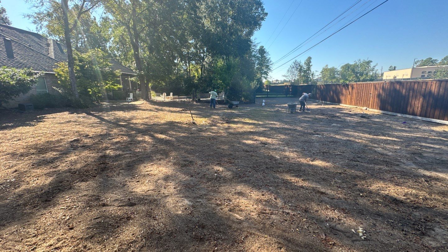 Mr. Jeff — Backyard Drainage & Grading Improvement by Texas Urban Elements