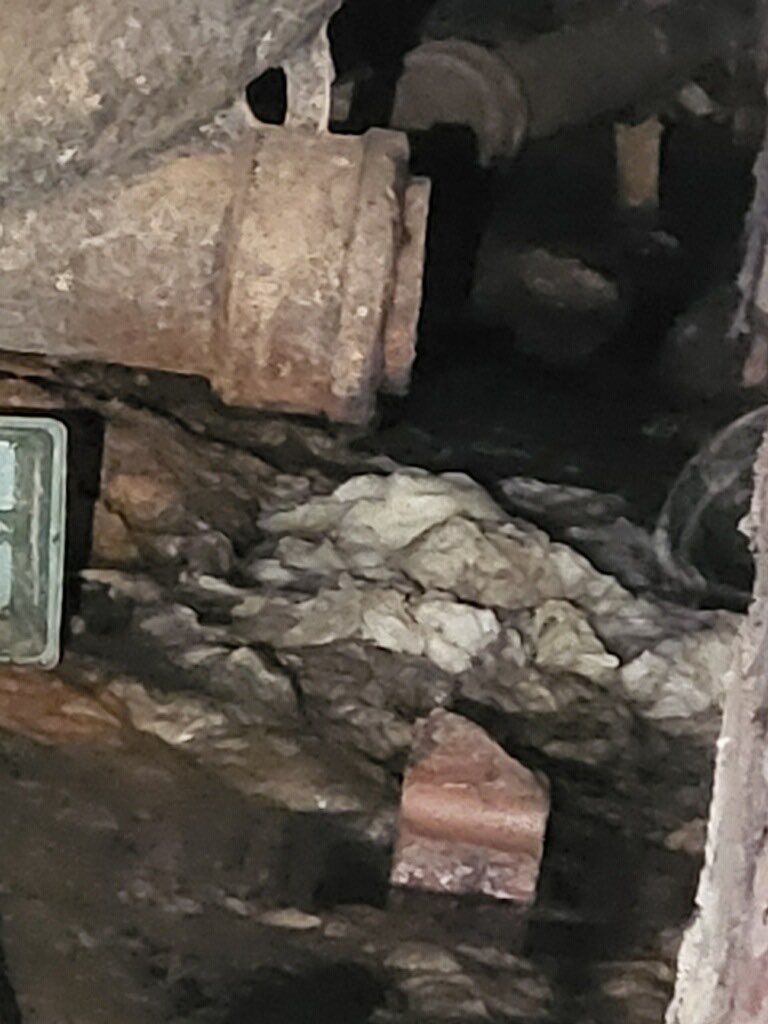 Sewage Back Up & Mold In Crawlspace
