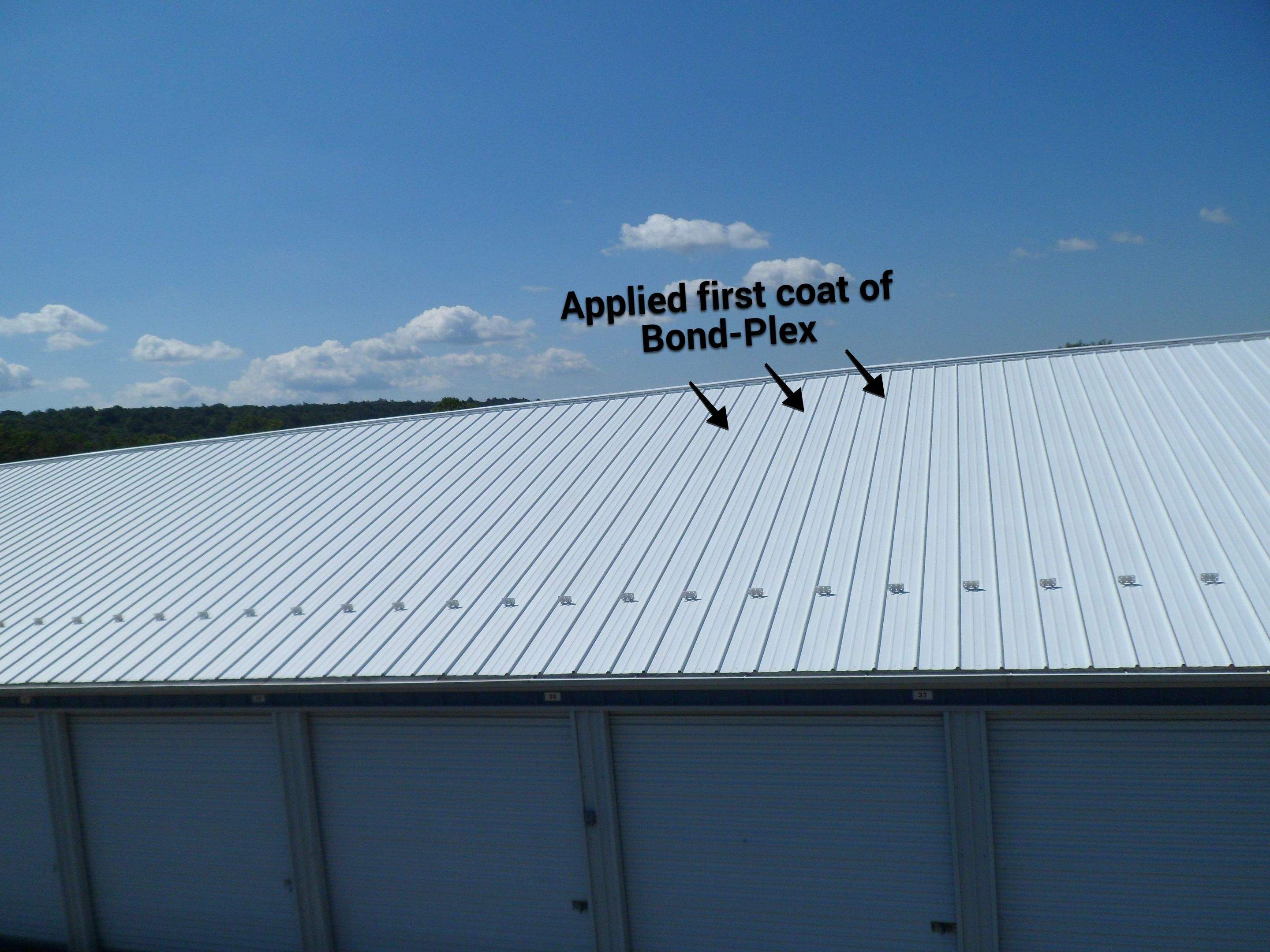 Exterior Painting by Alpha Design Services