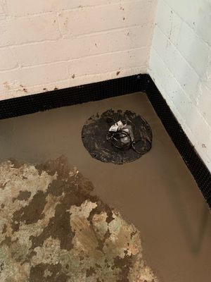 Helping Diane Protect Her Home