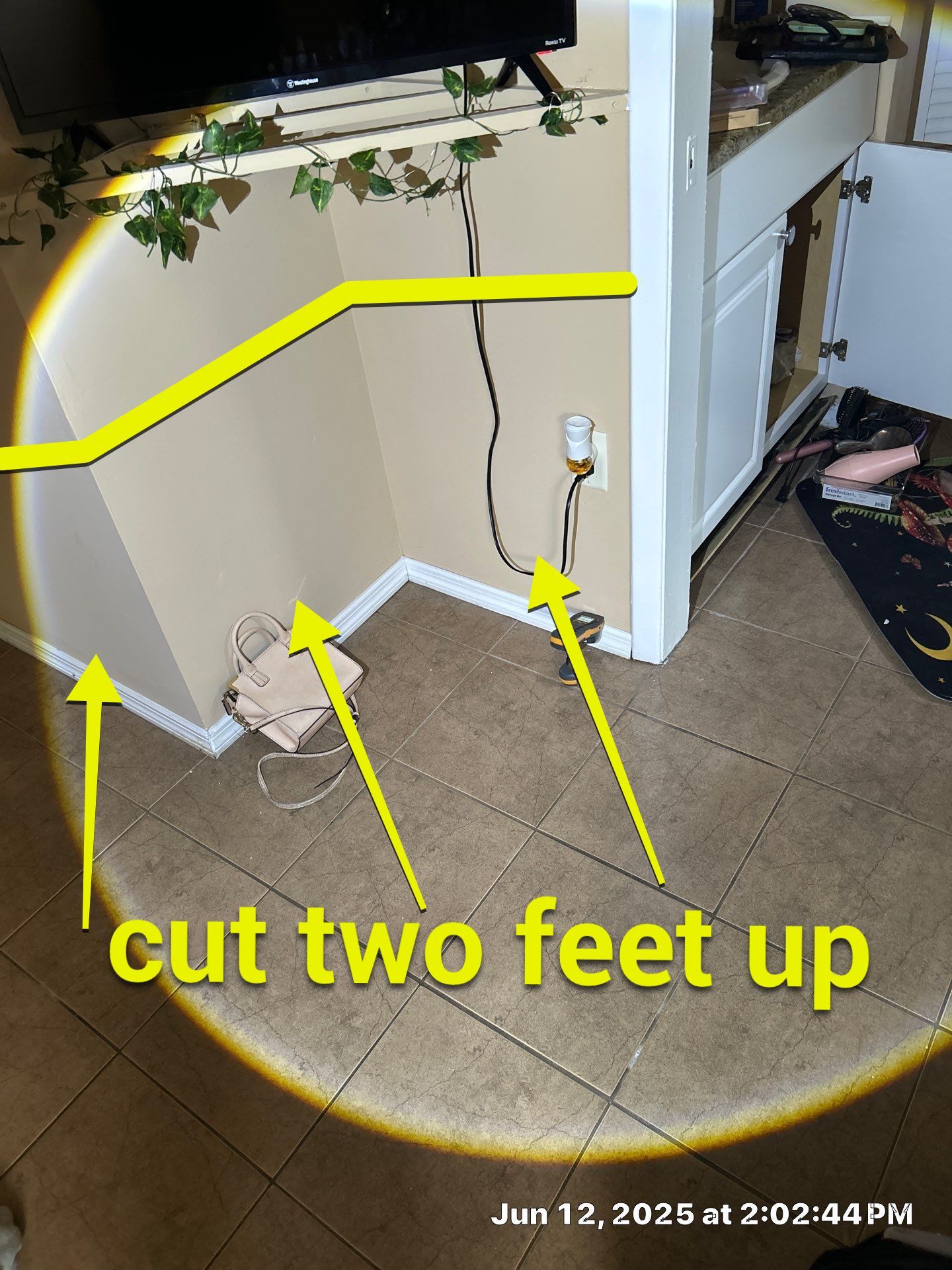 Commercial Mold Damage In Sarasota by Ampm Restoration Services