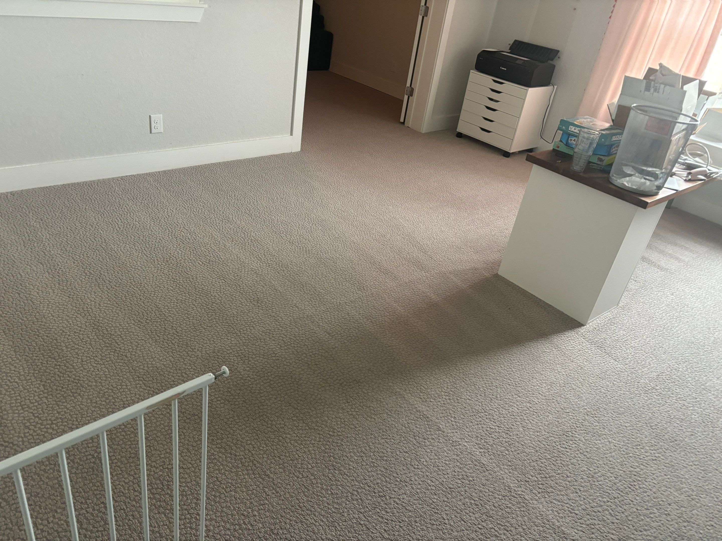 the service being done is carpet cleaning in a residential living space