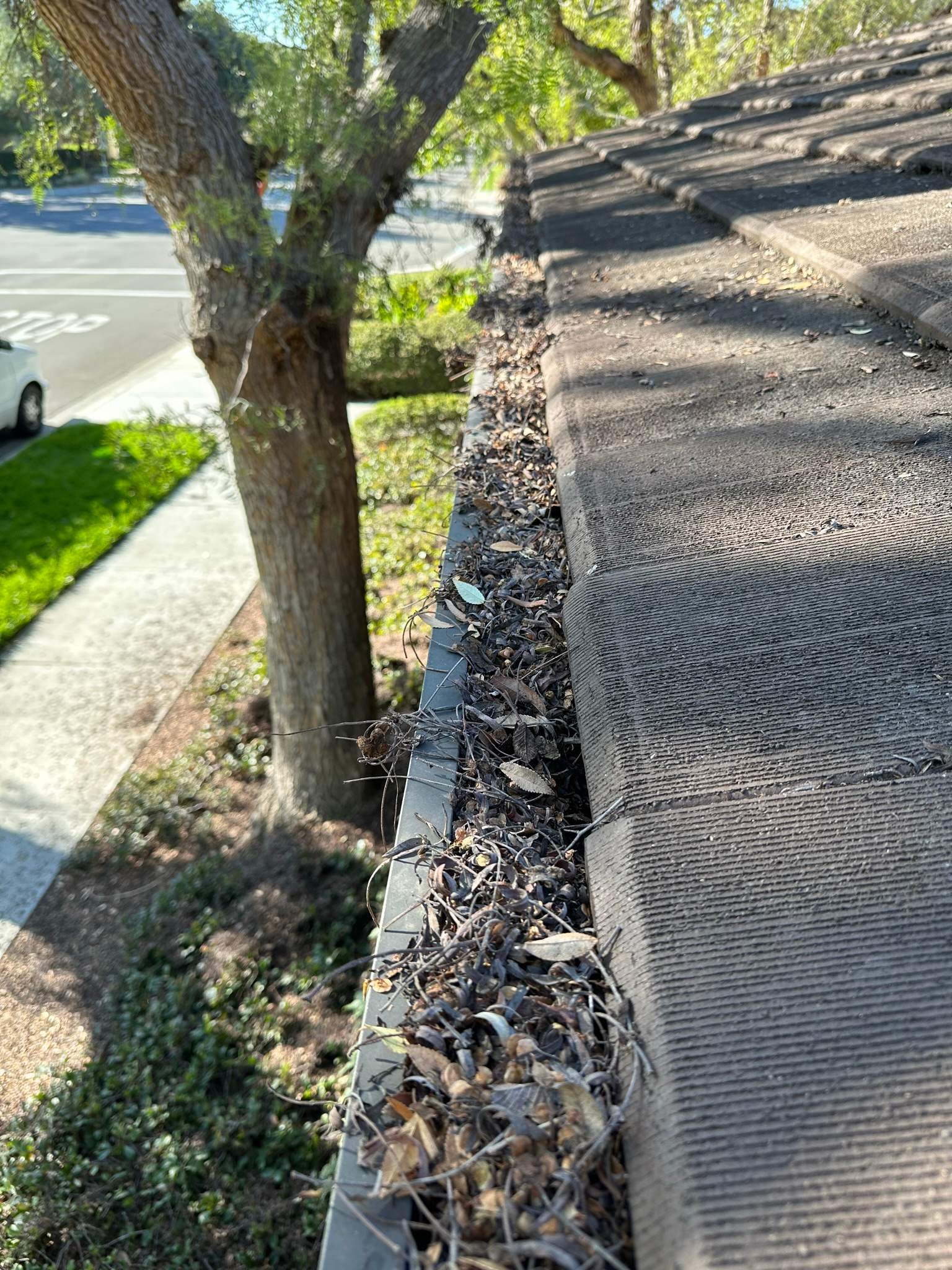 Orange County Gutter Cleaning by Property Cleaning Experts, LLC