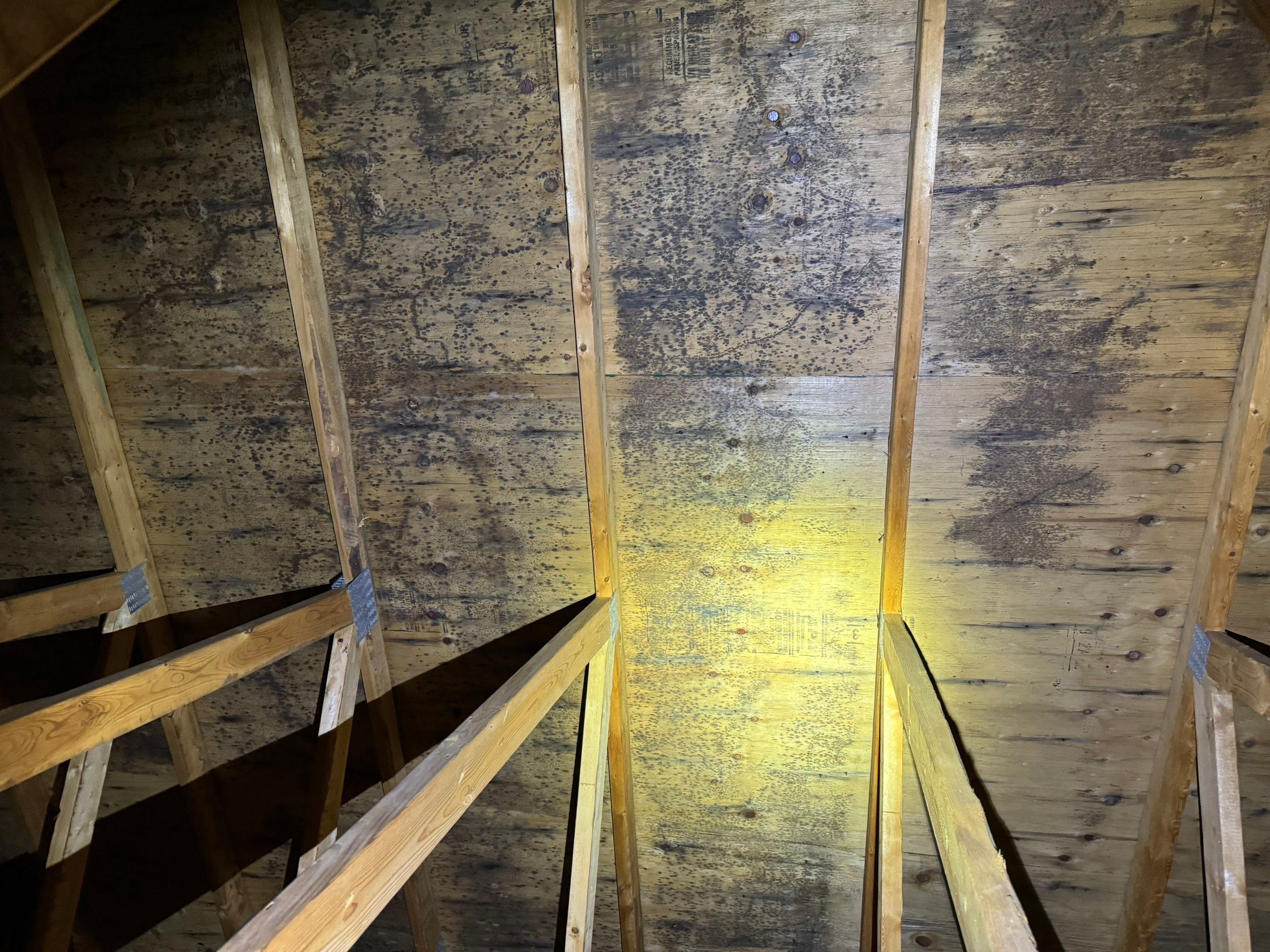 Dalton Attic by Home Guarantee, LLC