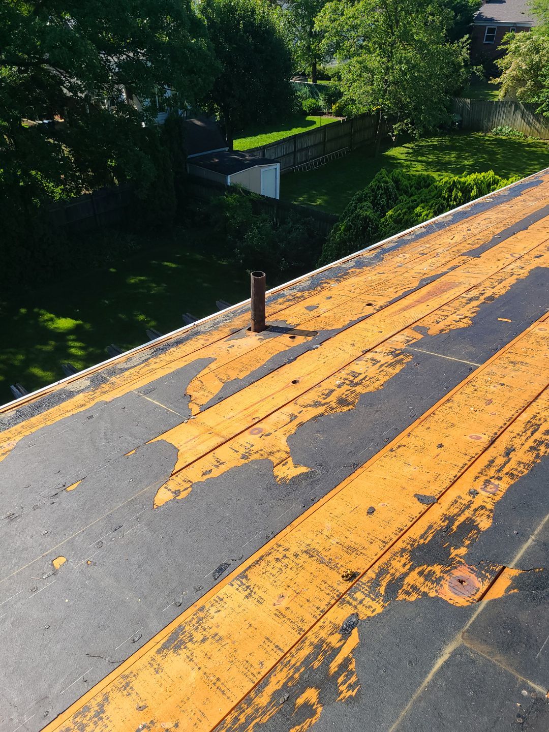 Alexandria: Mule Hide TPO Flat Roof by RM Banning, Inc.