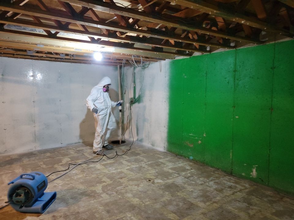 Grossly Contaminated Basement Mold by Chicagoland Water Medics