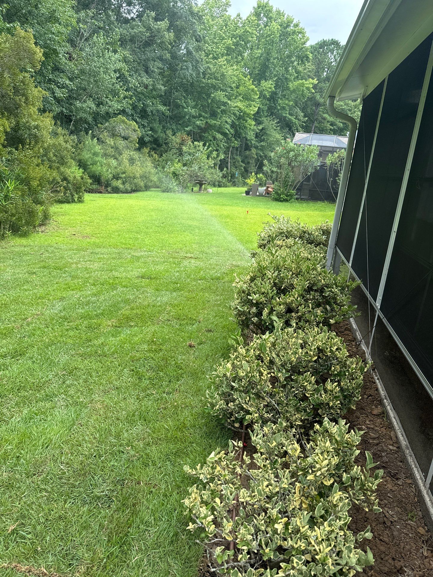Residential Landscaping and Irrigation System Installation in Bluffton