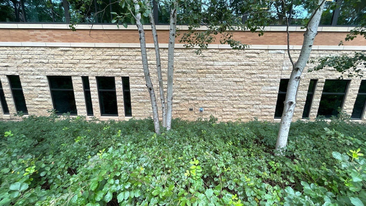 natural stone using Algaecide, soft wash soap by Northern Power Washing LLC.