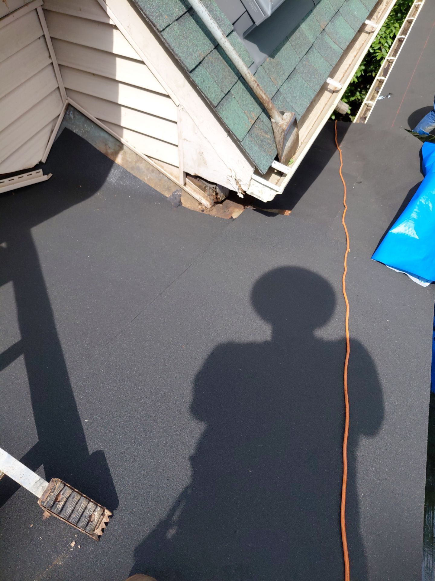 Springfield: Roof Replacement with CertainTeed Landmark Pro in Max Def Evergreen by RM Banning, Inc.