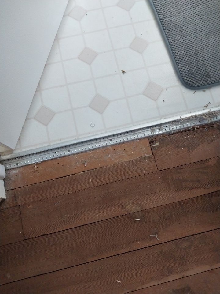 The Attick on 38th Ave by FloorCo