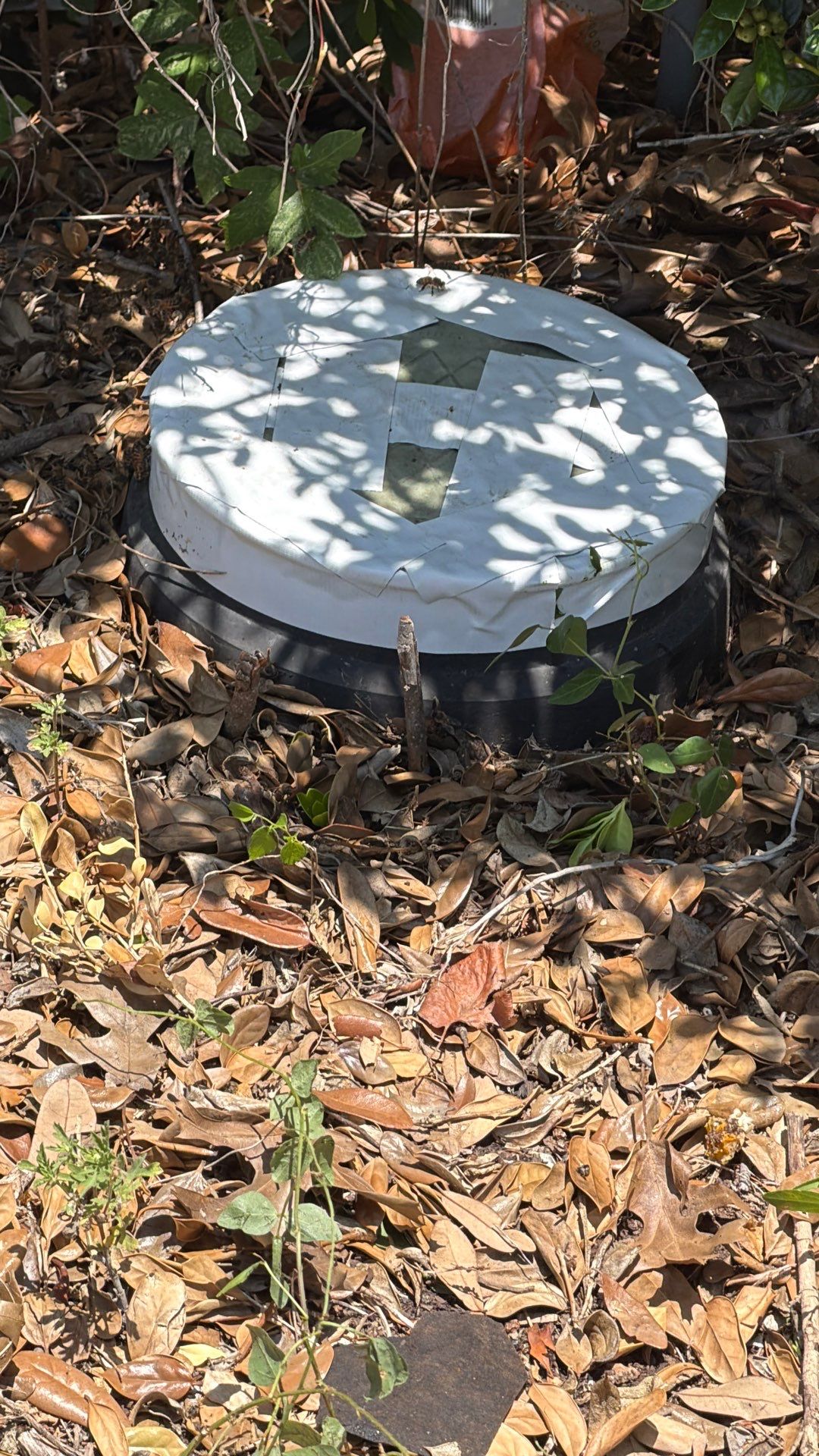 Bees in a box (in the ground) by Rockwall Honey Bee Company