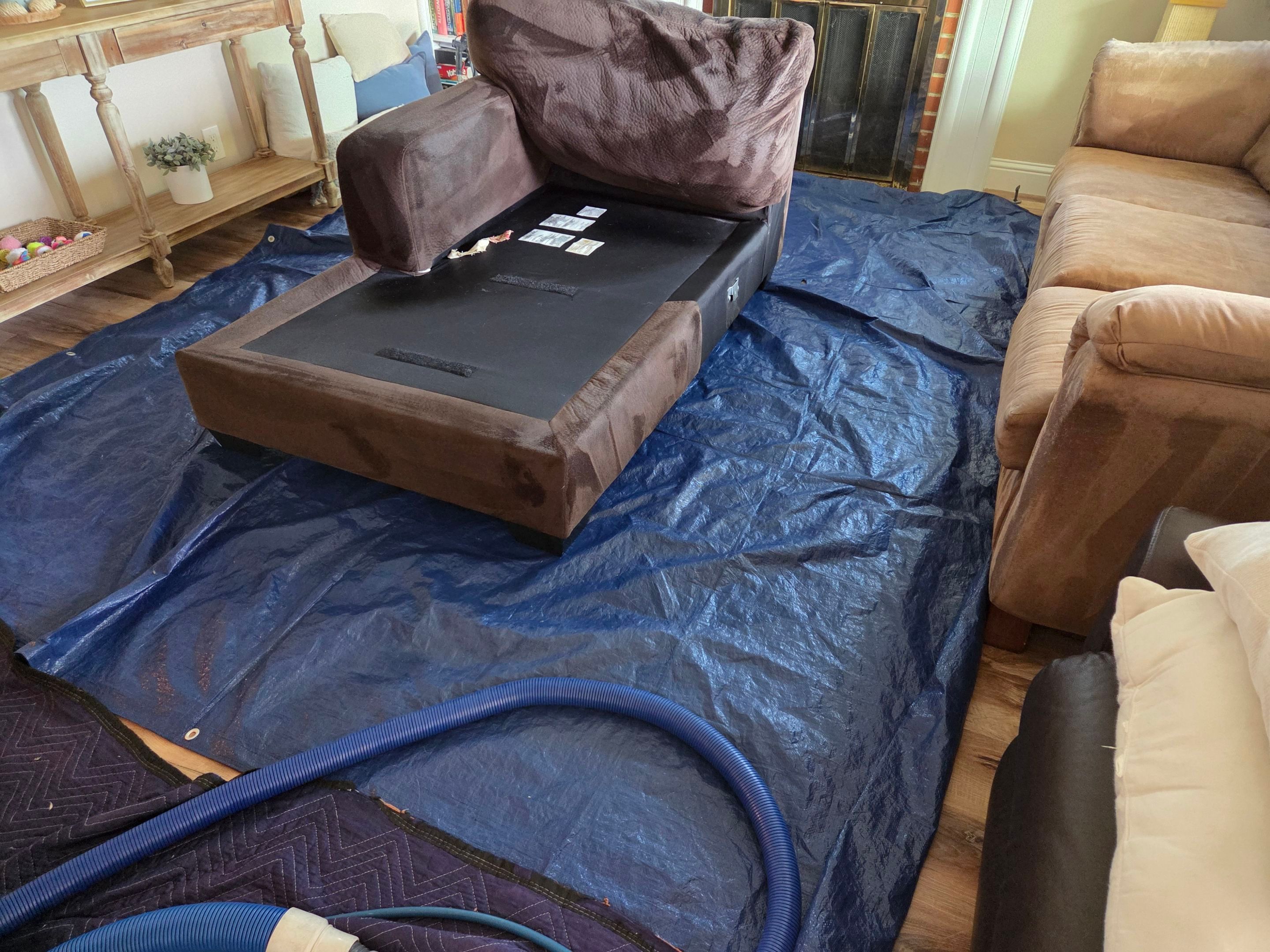 Carpet and Upholstery Cleaning in Sacramento by Ardent Carpet Restore LLC