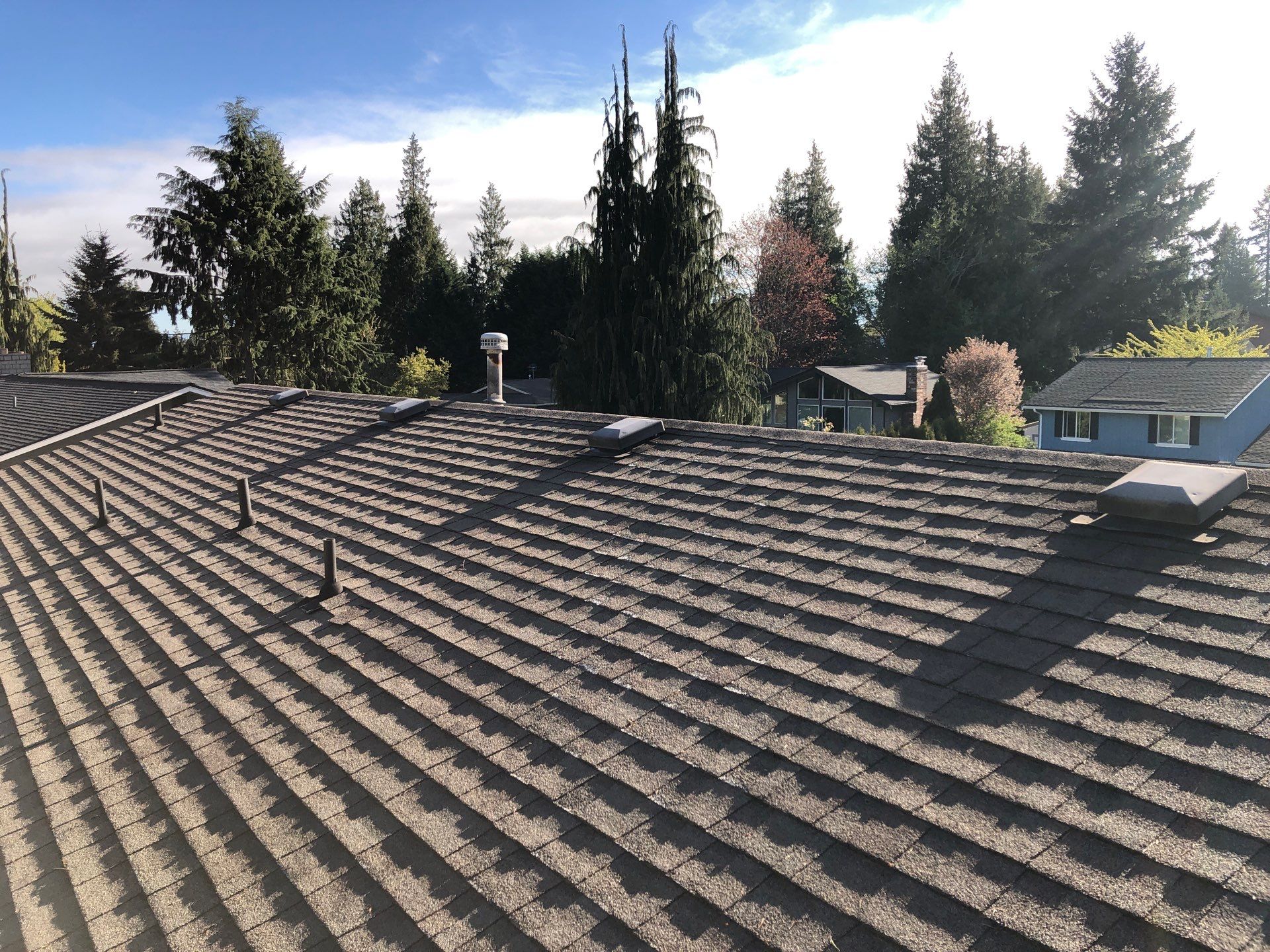 Project in Everett by Peaks and Valleys Construction