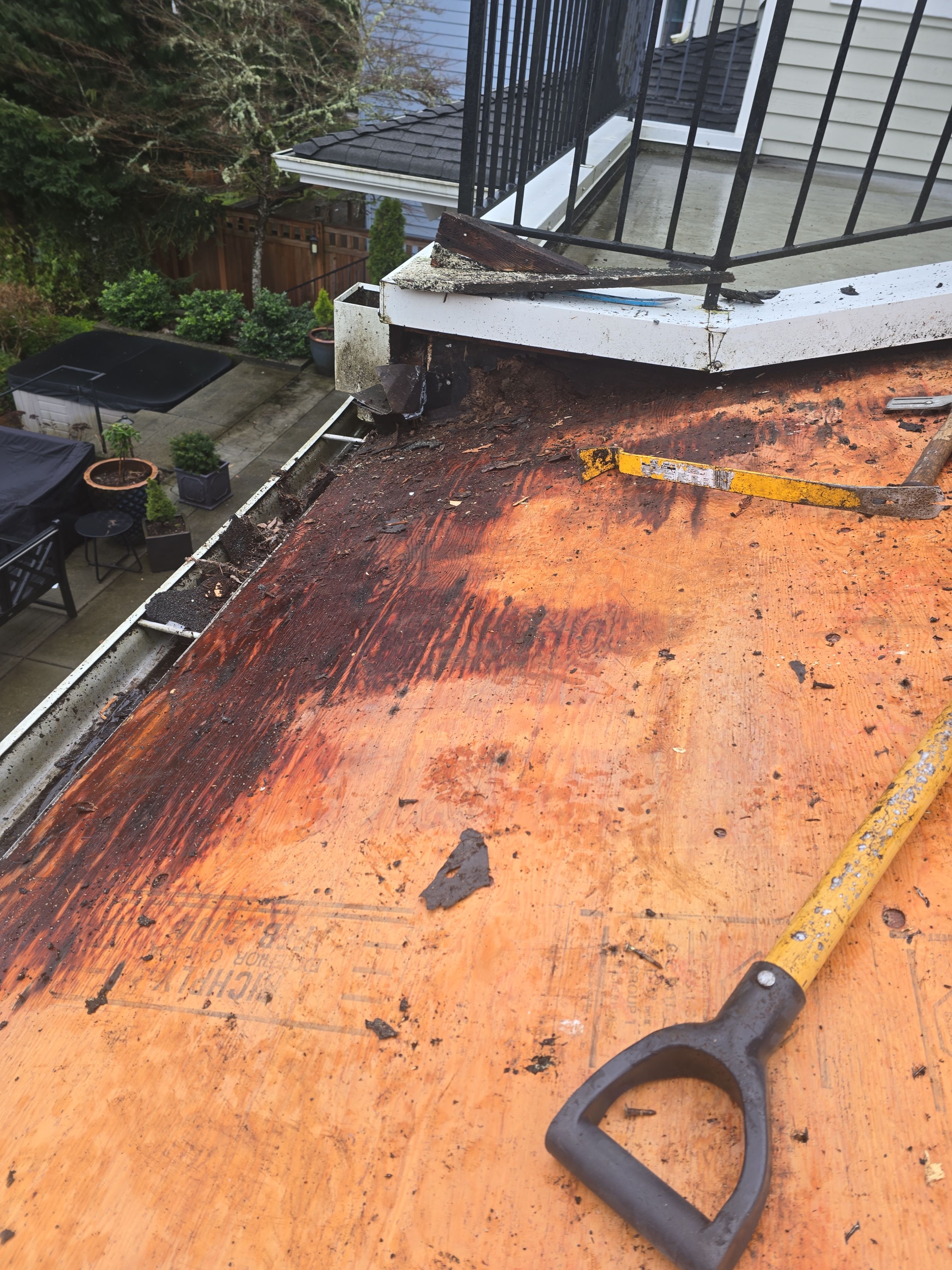 EuroShield in Sammamish by RoofSmart
