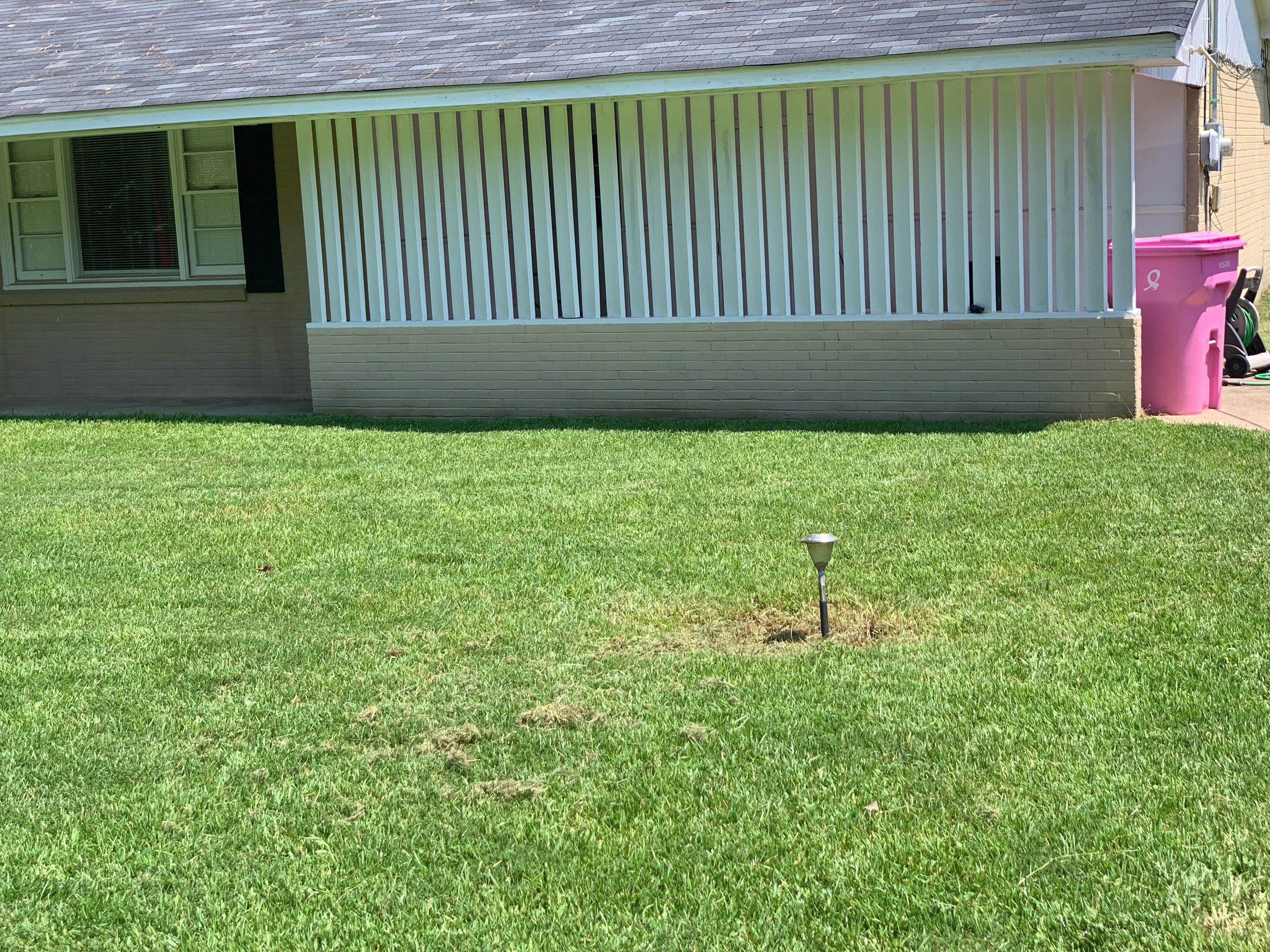 Yard Makeover by College Bros Outdoor services
