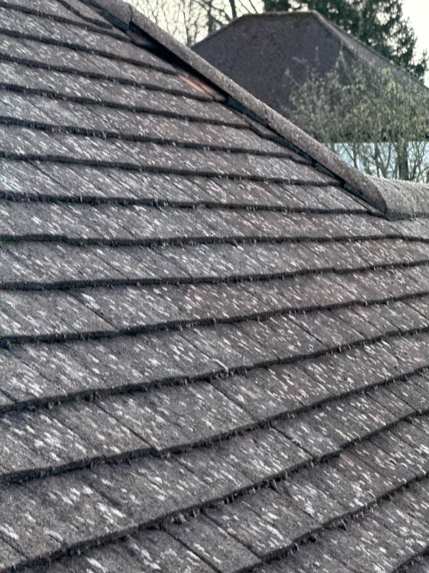 Exterior Clean - Roof - Patio - Driveway using honda 21 ltr/min by Ges Exterior Cleaning ltd