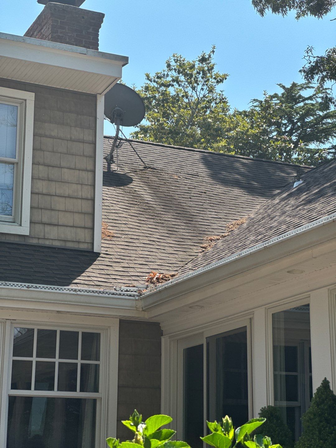 Multi Service using Roof Wash by SJ Exterior