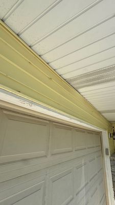 Turtle Shell gutter protection installation in Glen Ellyn, IL 60137, photograph 22