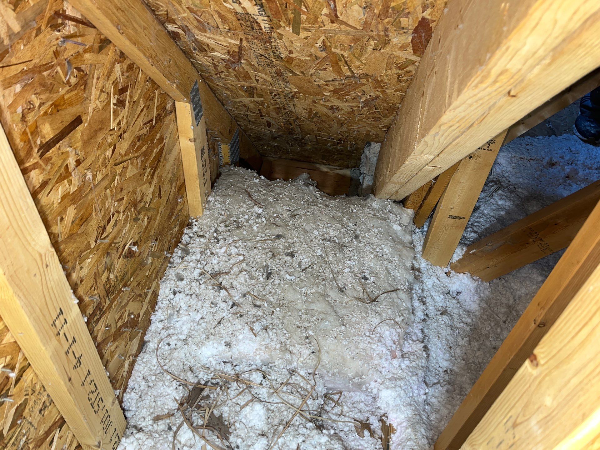 Sanitizing and Transforming a 2,100 sq ft Attic for a Better Home Performance by Home Environment Solutions