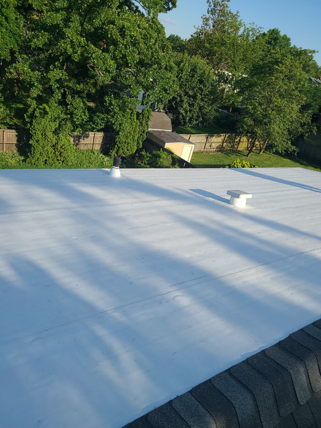 Alexandria: Mule Hide TPO Flat Roof by RM Banning, Inc.