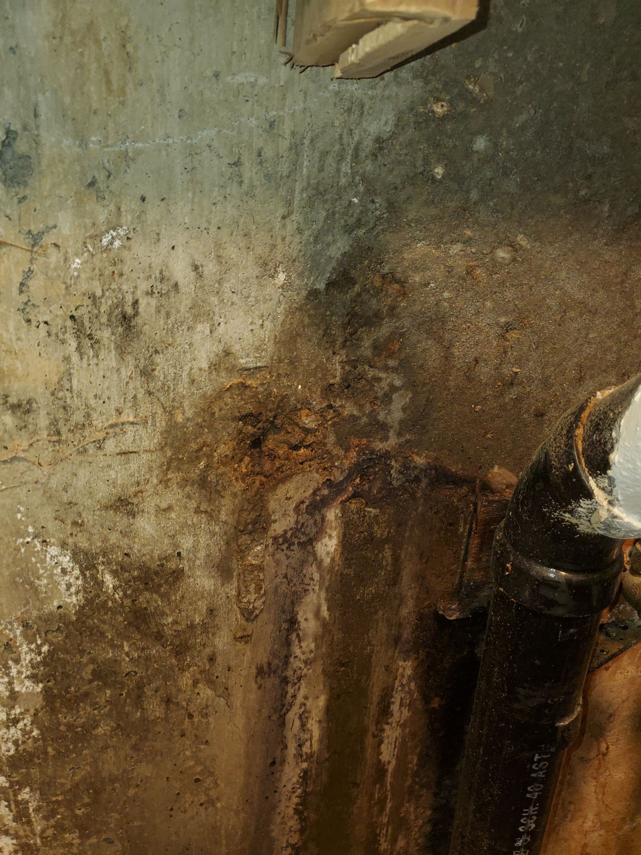 Water Damage using Air Movers by Construction Now LLC