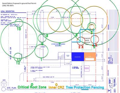 Seattle In-Ground Pool Site Planning & Permit Support
