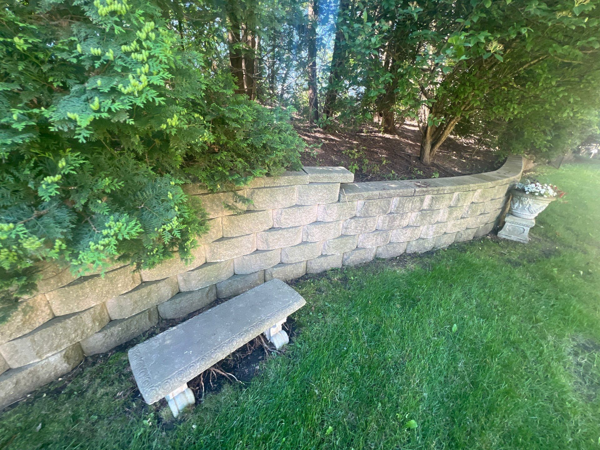 concrete cleaning using Algaecide, soft wash soap by Northern Power Washing LLC.