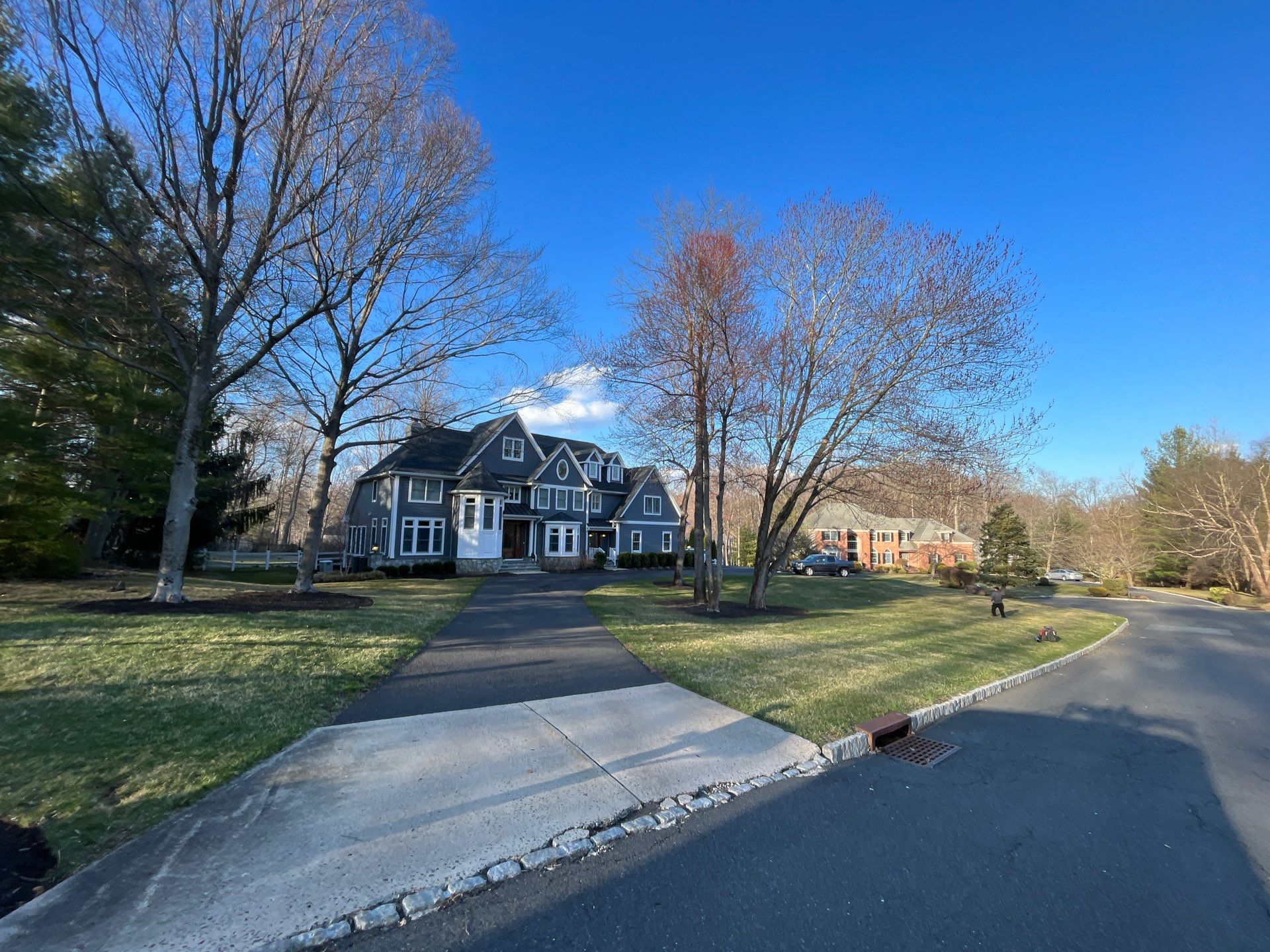 Comprehensive Lawn Care in Warren by Ants Plants