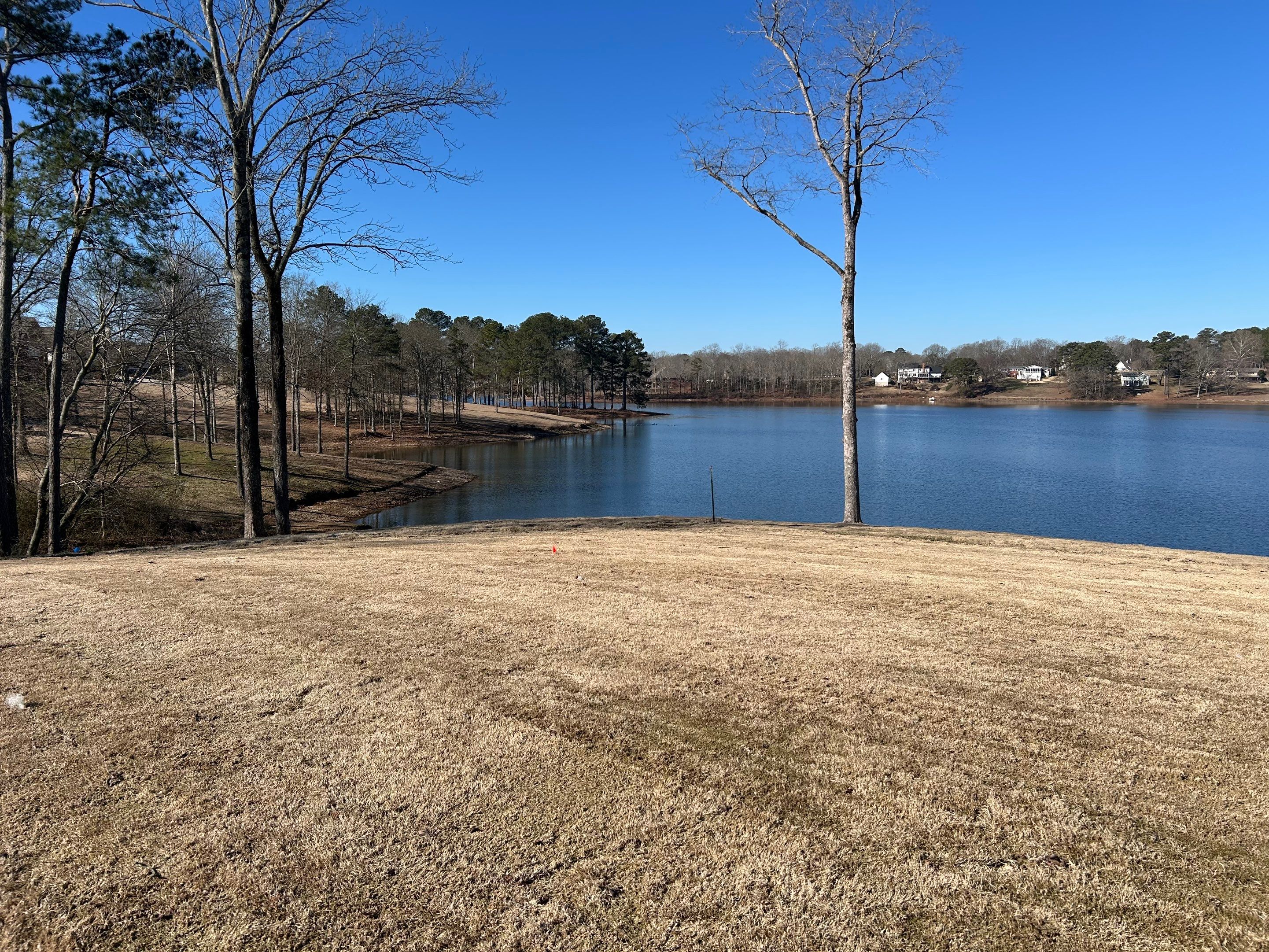 Shaddix Estate by Southern Scape, LLC