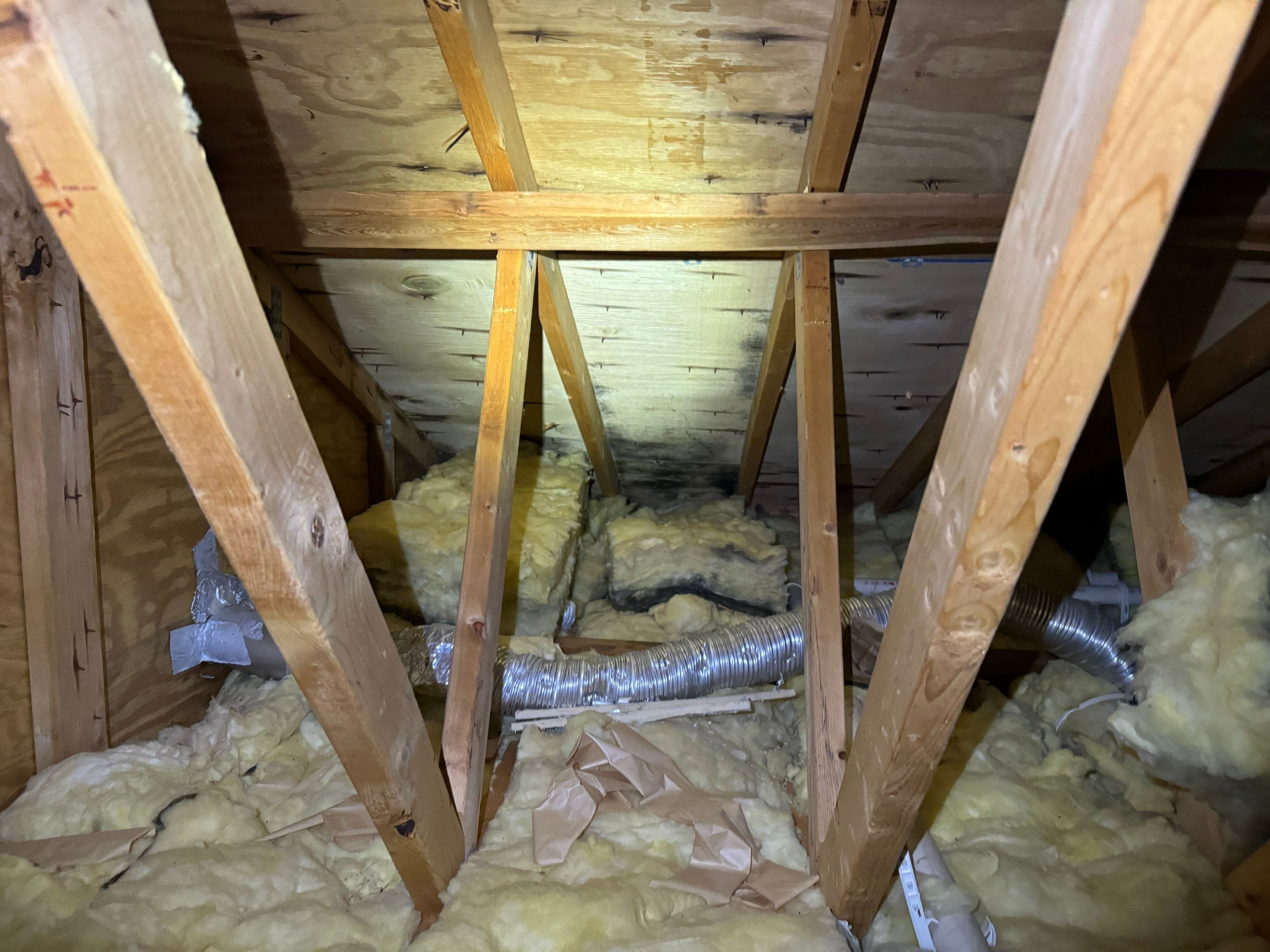 Attic & Sunroom Mold Remediation by Home Guarantee, LLC