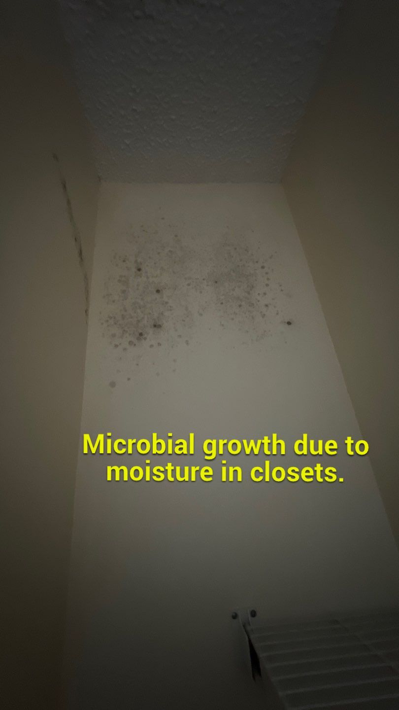 The Gardens of Rome by PC&D