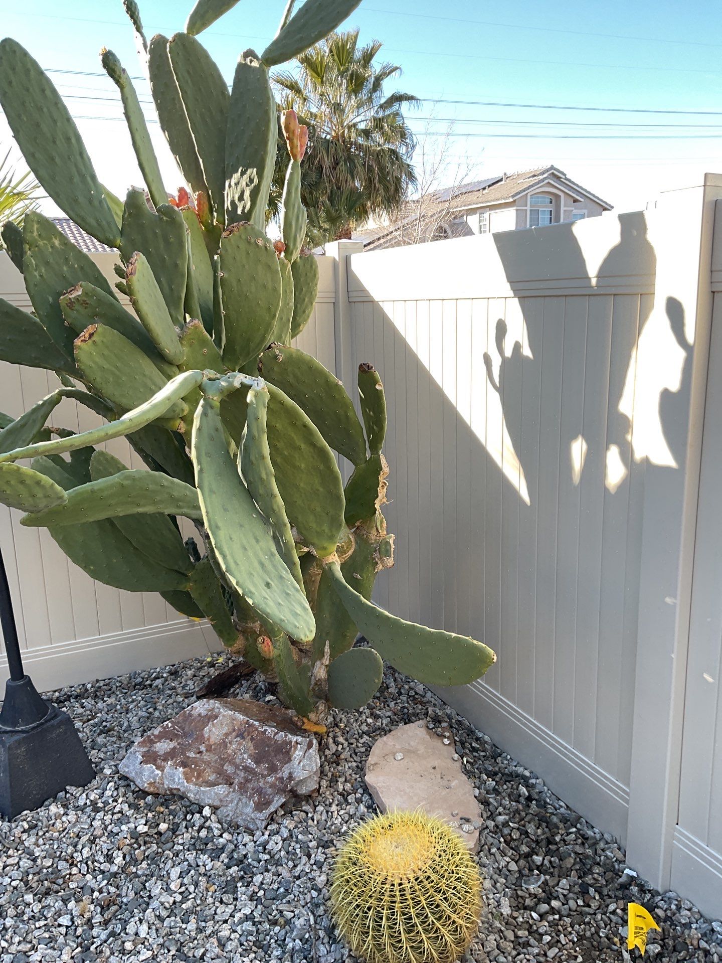 Beautiful vinyl fence installation by Fence Guys Inc.