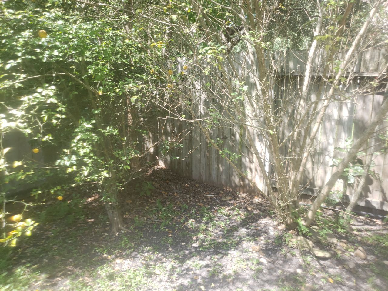 6'6" Western Red Cedar Fence Install by Astro Outdoor Designs 