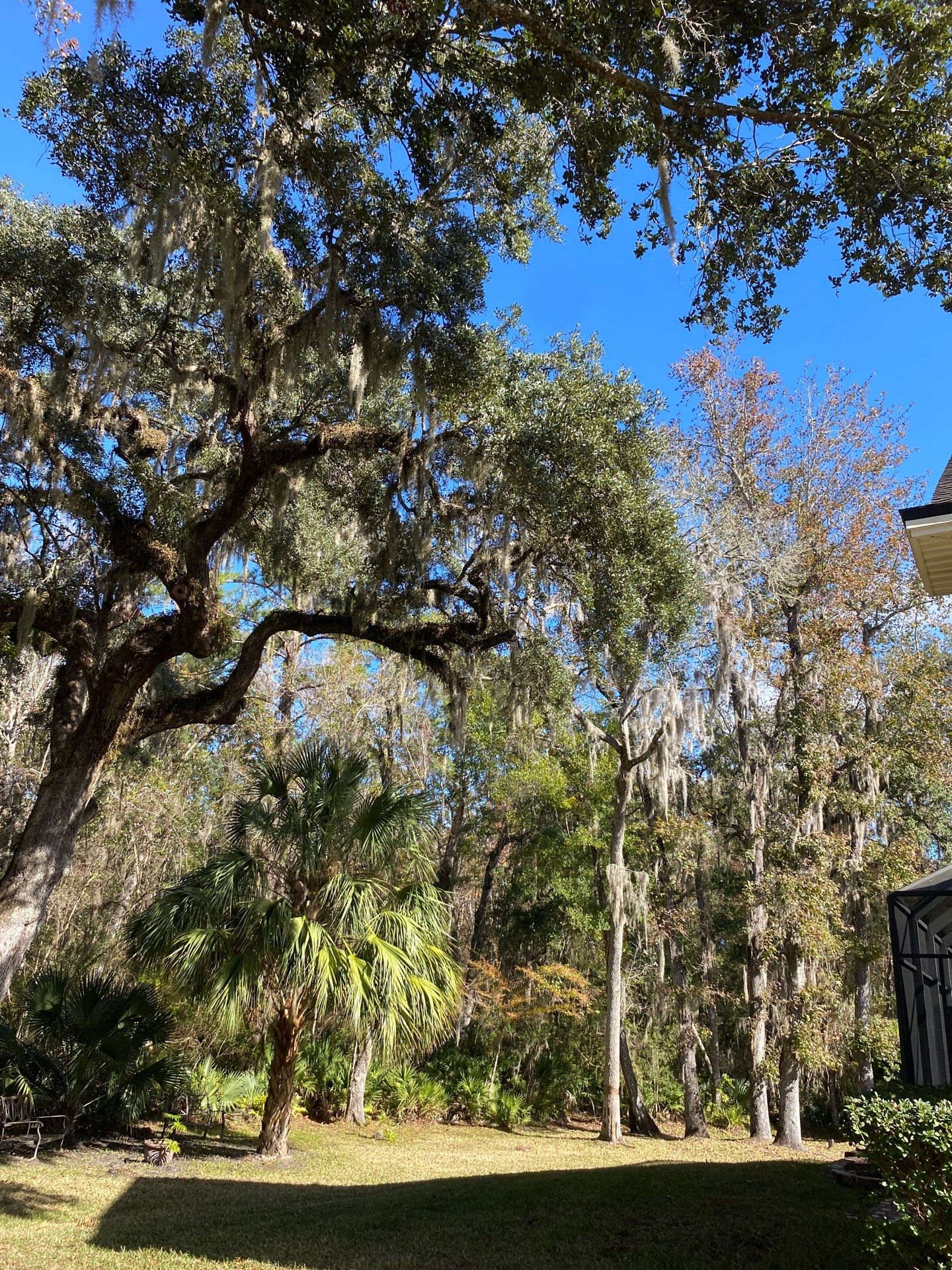Residential | Tree Service by ProGreen Services