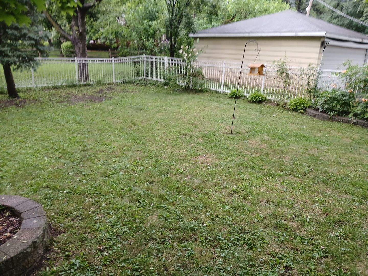 Steven L. - Park Ridge, IL by A&N