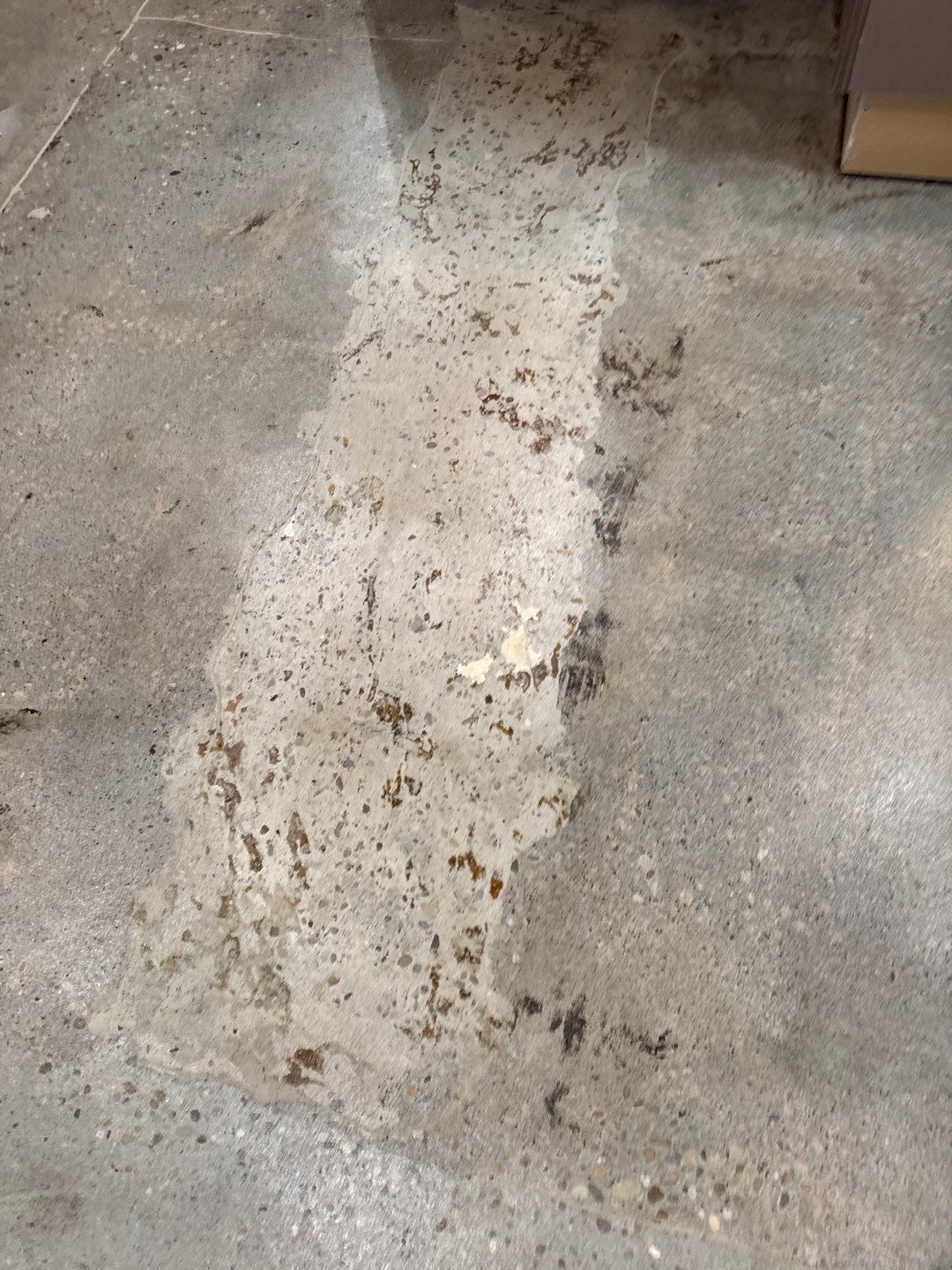 Slight Polish Project in McKees Rocks by Floors in a Day, Inc